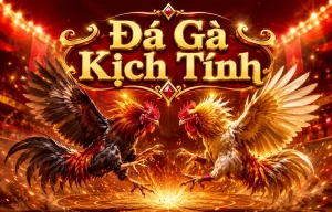 Giao diện sảnh đá gà thecustomeditco với bố cục rõ và gọn
